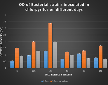 Isolation, identification and characterization of microbes with a potential for organophosphate bioremediation