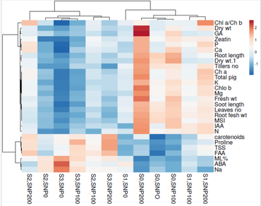 Sodium nitropurrside enhances salt tolerance in barley (Hordeum vulgare L.) by stimulating photoprotective defence mechanism
