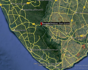 HR-LCMS-based metabolite profiling and evaluation of in-vitro anti-oxidant, antimicrobial and antibiofilm activities of aerial parts of Symplocos rosea Bedd. (Symplocaceae), an endemic species to Southern Western Ghats