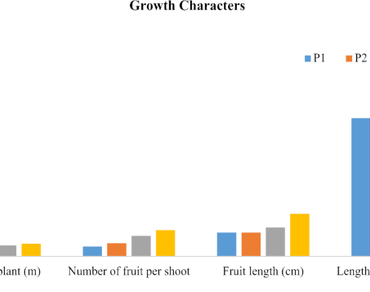 Influence of pruning intensity on growth, yield and bio-chemical parameters of guava (Psidium guajava L.) Cv. Shweta under North Indian conditions