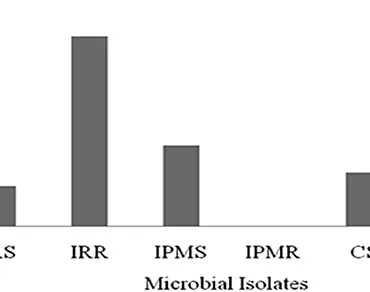 Biochemical and molecular characterization of wheat-associated bacteria: implications for plant growth and disease resistance