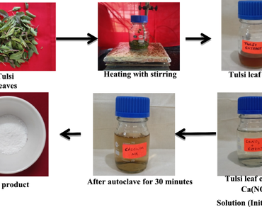 Ecologically benevolent synthesis and characterization of calcium oxide nanoparticles