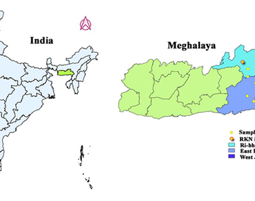 In vitro evaluation of nematicidal properties of native plant extracts from Meghalaya against root-knot nematodes (Meloidogyne incognita) in tomato