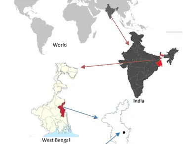 Molecular characterization of Psidium guajava genotypes using microsatellite markers