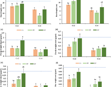 Proline mediated improvement in cluster bean resilience: unrevealing growth, physiological and biochemical attributes against chromium