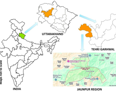 Assessment of traditional knowledge on dye-yielding plants in the Jaunpur region of the Uttarakhand Himalayas