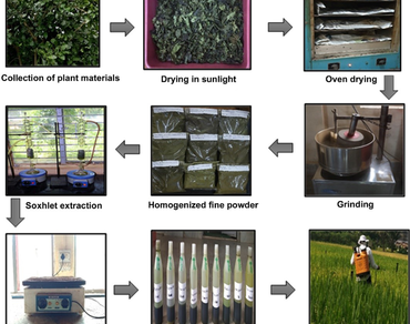 Assessing the efficacy of solvent based botanical extracts on major rice insect pests in the Konkan region of Maharashtra