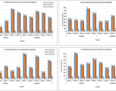 Transcriptome-wide identification and characterization of Musa circular RNAs in corm and root tissues of resistant and susceptible cultivars in response to Fusarium oxysporum f.sp. cubense race1 and TR4