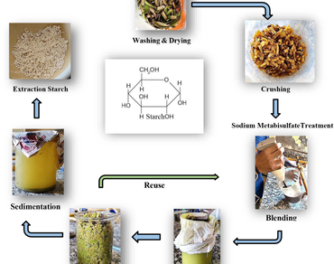 Development of food carrying bio-plastic film from banana peels starch incorporated with sugarcane bagasse cellulose