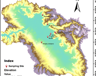 Rubus armeniacus Focke (Rosaceae): a new distributional record for India from Kashmir Himalaya