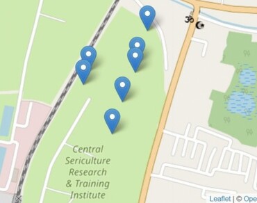 Appraisal of Shannon Diversity Index of mycorrhizae in mulberry crop: a preliminary study