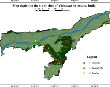 Taxonomic delineation of genus Clausena Burm. f. with special emphasis on foliar macro and micromorphology