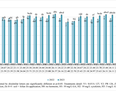Application of gibberellic acid and cytokinin for improving yield attributes and yield of rice (Oryza sativa L.) under different zinc supply regimes
