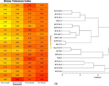 Morpho-physiological and biochemical insights of salt tolerance during germination and early seedling growth in mungbean