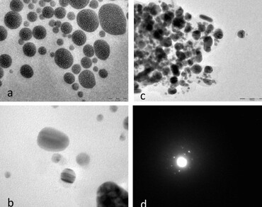 Silver nanoparticle-induced shikonin production in cell cultures of Arnebia benthamii (Wall ex. G. Don) Johnston