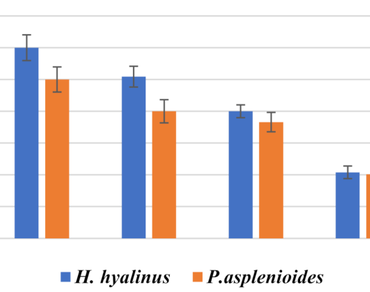 Insecticidal activity of leafy liverworts, Heteroscyphus hyalinus (Steph.) A. Srivast. & S.C. Srivast. and Plagiochila asplenioides (L.) Dum. against, Sitophilus granarius Linn. - a common wheat weevil