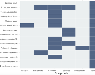 Phytochemical composition and antioxidant activity of medicinal plants from three geothermal areas of Aceh Province, Indonesia