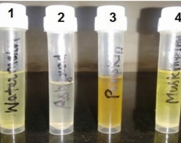 Nutritional, physicochemical and biochemical potentials of Indian cucurbit seed oils: a comparative study