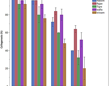In vitro morphological characterization of salt tolerance in five bread wheat varieties