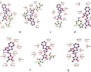 Study of DWARF sequence of different plants to understand the probable host plants for mycorrhizal associations