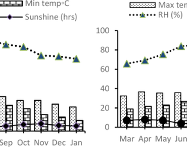 Genetic diversity of indigenous arrowroots grown in India based on morphological and nutritional traits