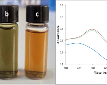 Biogenic silver nanoparticles from Annona reticulata endophyte: antibacterial, anticancer, and dye degradation potential