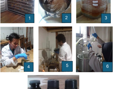 Identification and evaluation of bioactive compound from selected medicinal plants: potential antibacterial agent