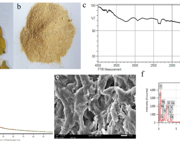 Utilization of Citrus limetta peel for plant growth and its cellulose fibers incorporated with SPIONs for effective removal of cationic dyes