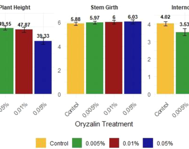 Impact of oryzalin on induction of polyploidy in Jasminum sambac (L.) Aiton