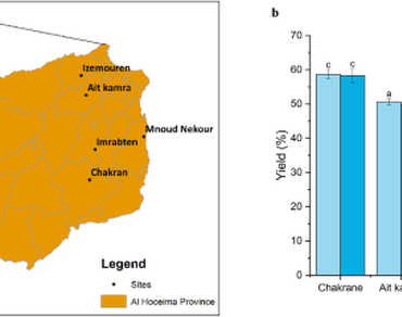 A preliminary study of the effect of geographical origin on the yield and chemical composition of almond oils of Al-Hoceima region in Morocco