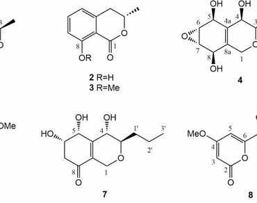 Enzyme inhibitors from endophytic Xylaria feejeensis isolated from Cardiospermum halicacabum