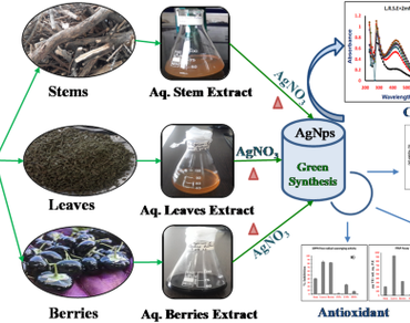 Unlocking the therapeutic potential of Trans-Himalayan medicinal plant-derived silver nanoparticles for antimicrobial, antioxidant and cytotoxic studies