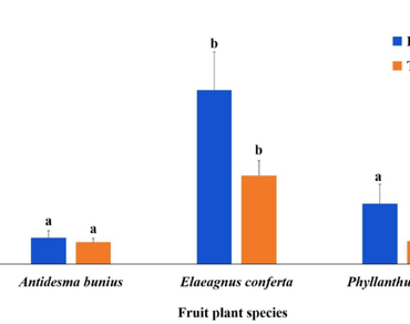 Arbuscular mycorrhizal and dark septate endophytic fungal association in three wild edible fruit plants of Manipur, Northeastern India