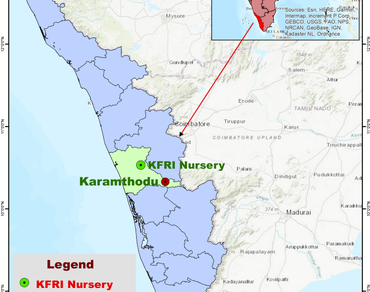 In situ conservation of Atuna travancorica: a critically endangered tree in the Southern Western Ghats, India