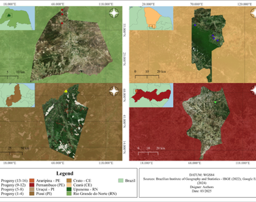 Morphometry of Mimosa caesalpiniifolia Benth. (Fabaceae) seeds through digital image analysis in a genetic divergence study