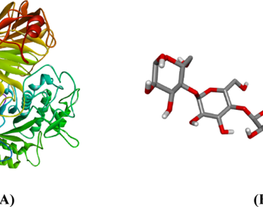 Identification of Homotrigona apicalis propolis compounds as α-glucosidase inhibitors with antidiabetic activity in a molecular docking approach