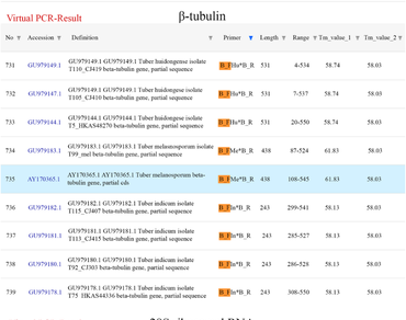 Evaluation of amplification potential of species identification markers in a virtual PCR environment and efficient molecular identification of three black truffle species by multiplex PCR assay