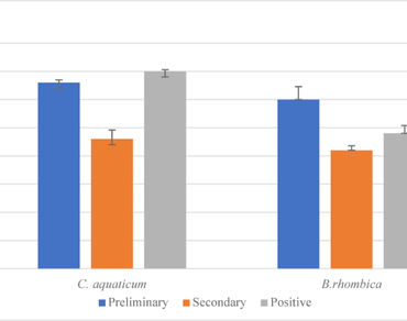 In-vitro and in-vivo efficacy of Beltrania rhombica and Cylindrocarpon aquaticum against Xanthomonas oryzae