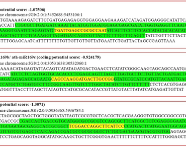 Computational identification of micro-nutrient (iron and zinc) deficiency related miRNAs and their targets in foxtail millet (Setaria italica)