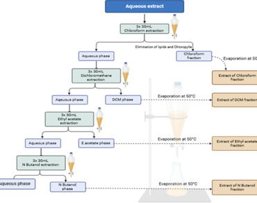 GC–MS and FTIR characterization, unveiling phenolic content, antioxidant and antibacterial properties of the parasitic plant Cistanche violacea