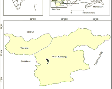 Effects of seed priming on germination and abiotic stress responses in Gymnocladus assamicus ex P.C. Kanjilal