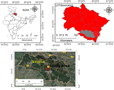 Tree fine root productivity and associated factors in pure and mixed evergreen forests of central himalaya