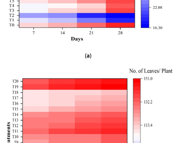 Refining steviol glycoside production in Stevia rebaudiana via elicitors under sodium stress