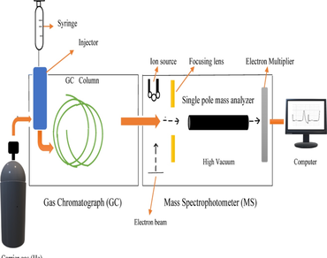 Detection of chemical compounds by GC–MS and evaluation of antioxidant, anti-inflammatory, antibacterial and anti-cancer potential in methanolic extracts of Corallocarpus epigaeus (Rottler) Hook. f.