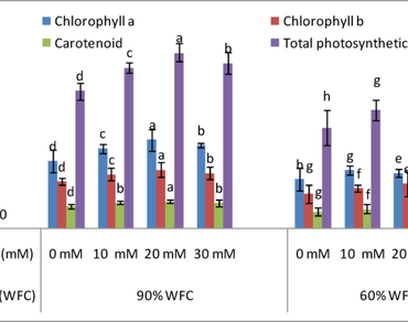 Acetic acid mitigated drought stress by maintaining osmoprotectant, regulating hormone metabolism, and increasing antioxidant defense system in soybean 