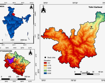 Buxus wallichiana Baill. an emerging forest stand of Garhwal Himalaya: an emphasis on its ecological traits and implications for its conservation