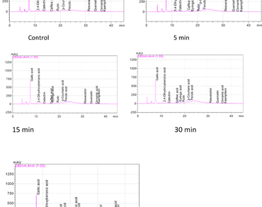 Sumac fruit, Sonication, Bioactive compounds, Antioxidant activity, Phenolic compounds, HPLC