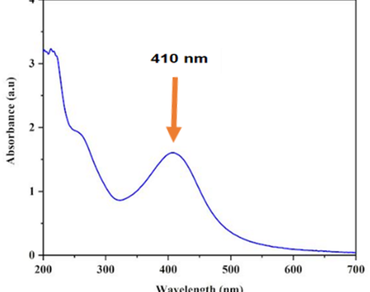 n                     Ipomoea sepiarian                  , AgNPs, Antibacterial, Antioxidant, Zebrafish, Wound healing
