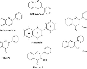 Flavonoids as antioxidants and anti-inflammatory agents in cancer prevention 
