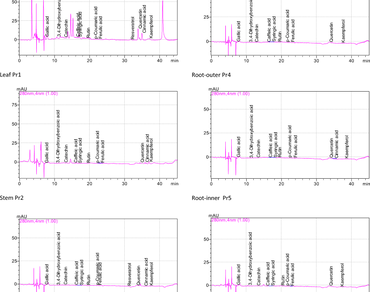 Sugar beet, Parts, Bioactive compounds, Antioxidant capacity, Phenolic profiles, Minerals